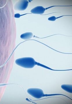 spermogramă cu potență scăzută